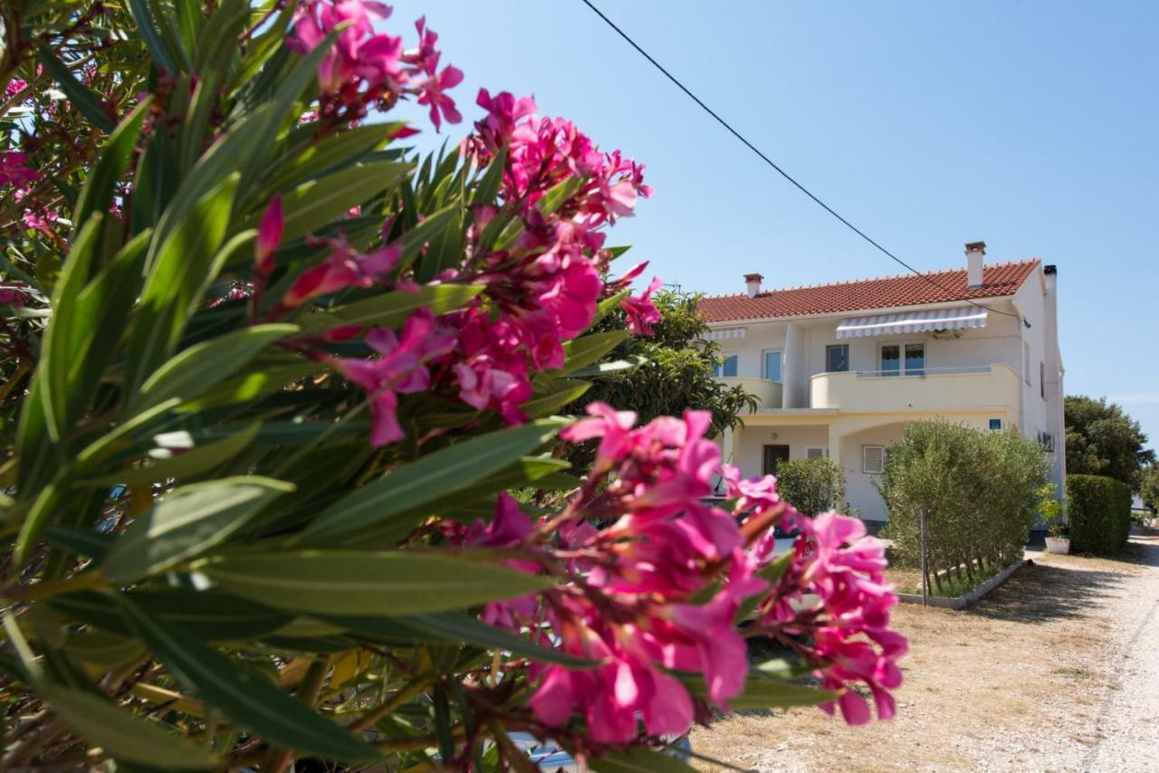 Apartments Maco Petrcane Exterior foto